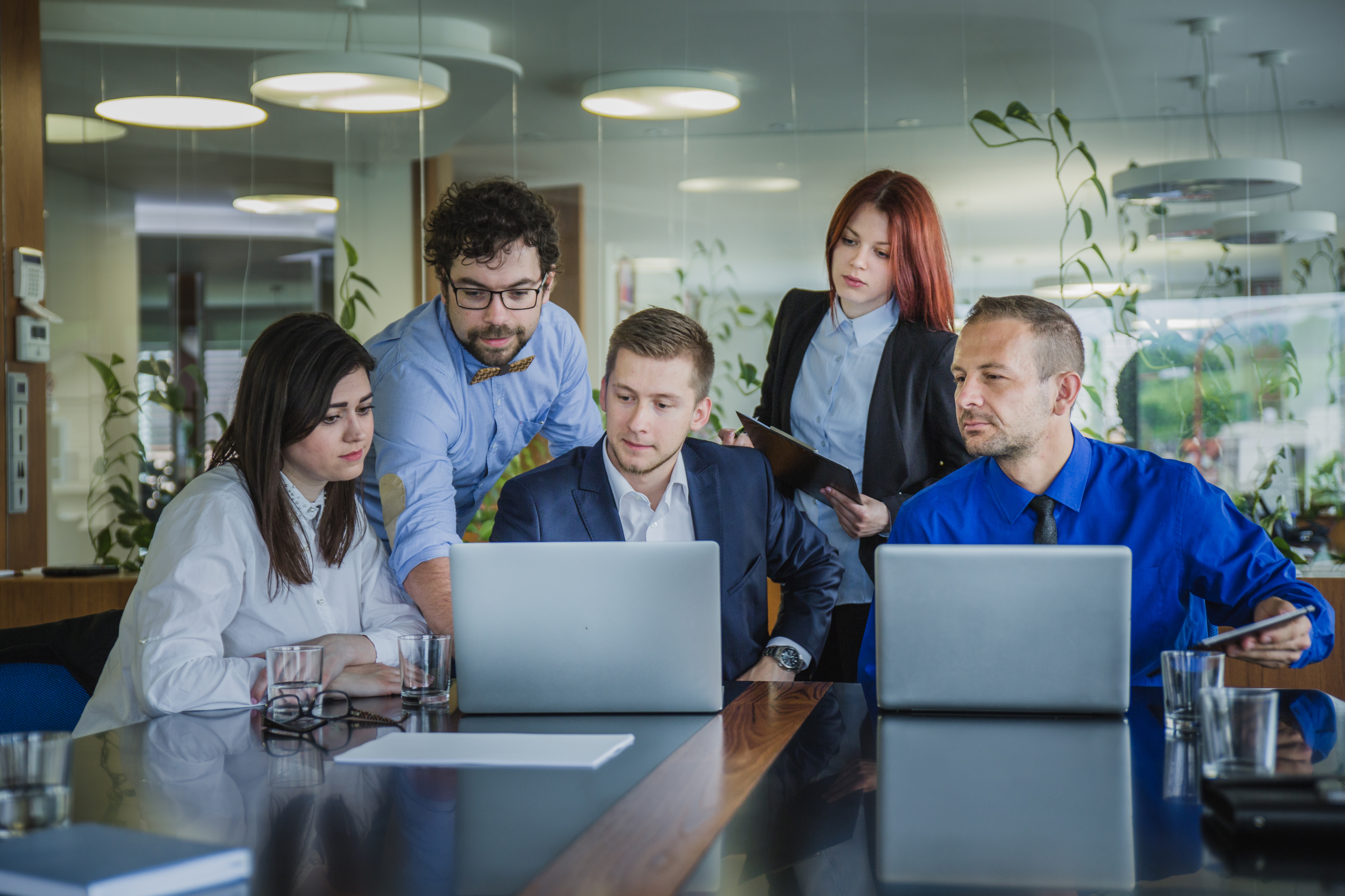 Team collaborating on software
